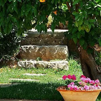 Finca Sa Maniga Hotel Palma de Mallorca
